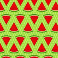 Abstract Natural Summer Background with Watermelon Vector Illus N2