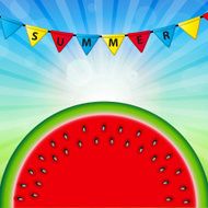 Abstract Natural Summer Background with Watermelon Vector Illus N3