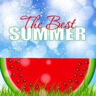 Abstract Natural Summer Background with Watermelon Vector Illus N4