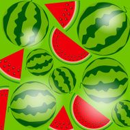 Background from Watermelon Vector Illustration N10
