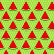 Abstract Natural Summer Background with Watermelon Vector Illus N7