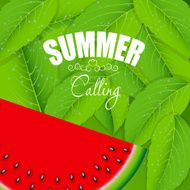Abstract Natural Summer Background with Watermelon Vector Illus N8