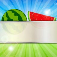 Abstract Natural Summer Background with Watermelon Vector Illus N11