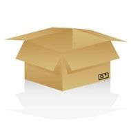 Open Cardboard Box N4