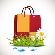 shopping concept N29