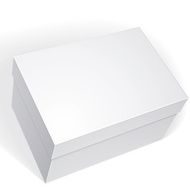 Package white box design isolated on background template N3