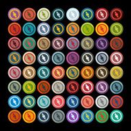 Flat design compass N2