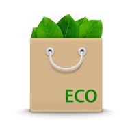 Eco shopping bag N4