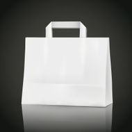 3d blank shopping bag N3