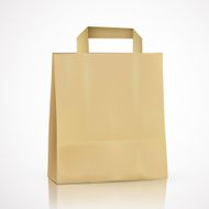 blank kraft shopping bag N5