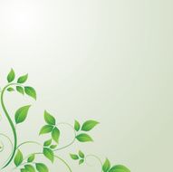 Green Leaf N20