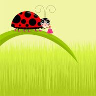 Ladybug with handbag N2