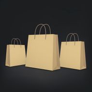 3d blank shopping bags N3