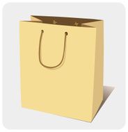 Paper Bag N15