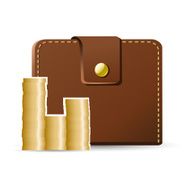 Wallet with coins
