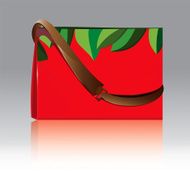 spring bag N2