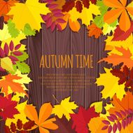 autumn leaves on a wooden background N3
