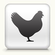 Square Button with Chicken