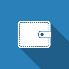 Wallet Icon N14