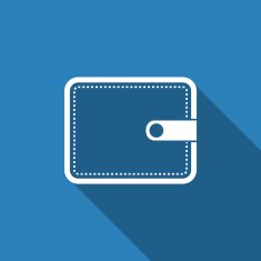 Wallet Icon N15