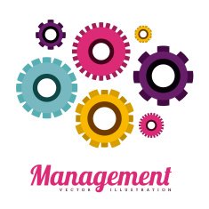 Business design N157