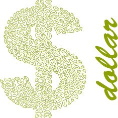 Dollar icon N8