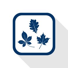 autumn leaves flat icon