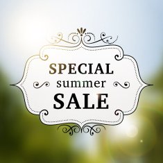 summer special sale retro poster N2