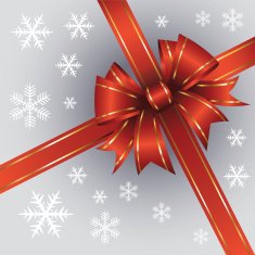 Christmas gift N20