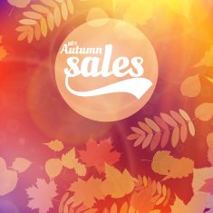 Autumn sale realistic Leaves typography poster N12