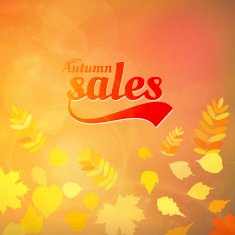 Autumn sale design template N8