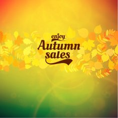 Autumn sale realistic Leaves typography poster N27