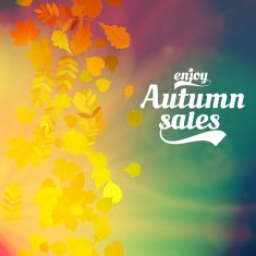 Autumn sale realistic Leaves typography poster N28