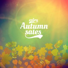 Autumn sale realistic Leaves typography poster N29