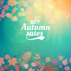 Autumn sale realistic Leaves typography poster N33