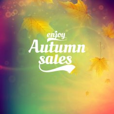 Autumn sale realistic Leaves typography poster N34