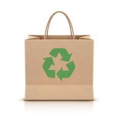 Paper Shopping Bag N5