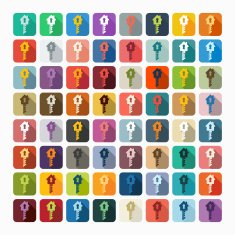 Flat design key N2