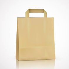 blank kraft shopping bag N5