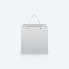 Paper bag with handles N2