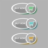 Colored rectangular web buttons buy now N2