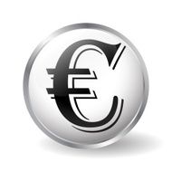 Euro icon vector