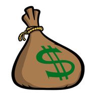 Money Bag N29