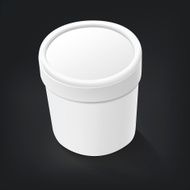 blank food plastic container N2