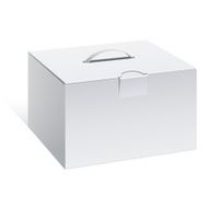 Package Cardboard Box with a handle N7