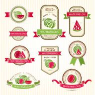 Watermelon labels collection N2