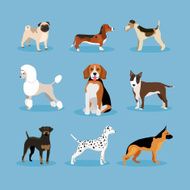 Dogs Set N2