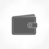 Wallet Icon N21