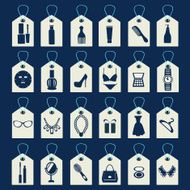 Vector Set of Beauty and Fashion women accessories N2