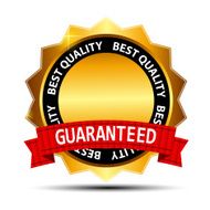 Gold Label Sign Template Vector Illustration N5